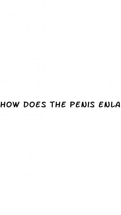 how does the penis enlarge