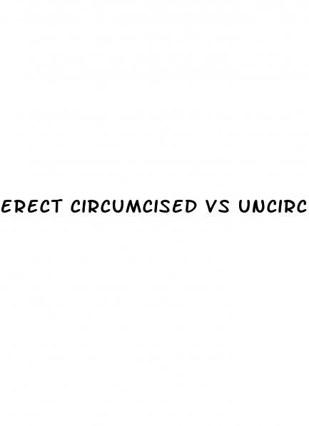 erect circumcised vs uncircumcised penis