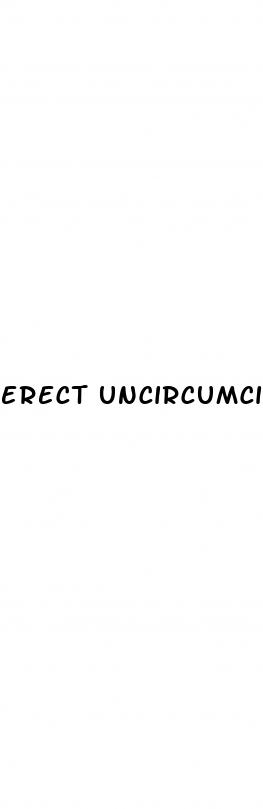 erect uncircumcised penis ejaculating video