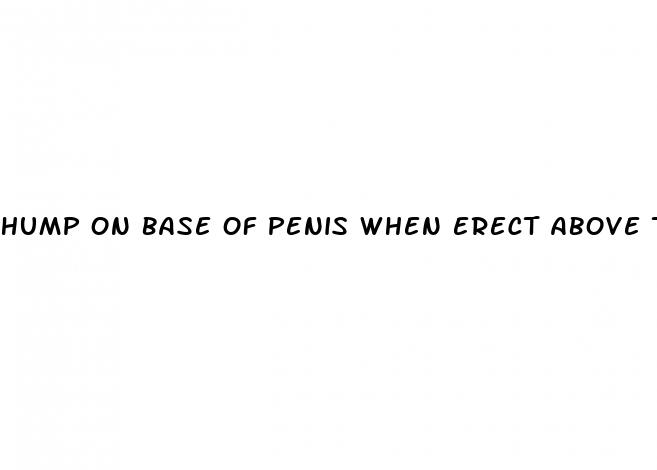 hump on base of penis when erect above the balls