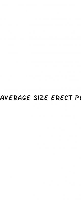 average size erect penis comparsion
