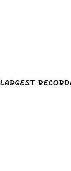 largest recorded erect penis