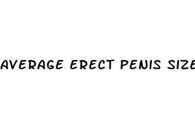 average erect penis size for kids