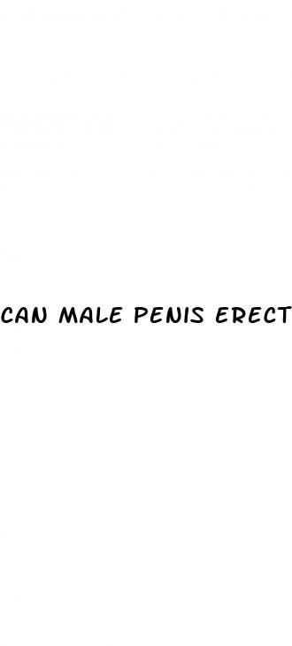 can male penis erect when castration
