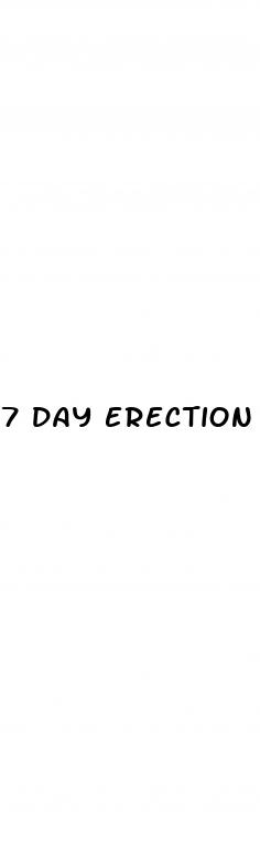 7 day erection pill