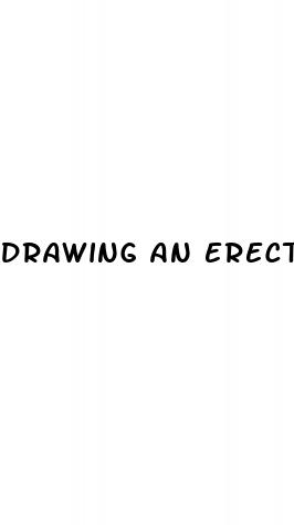 drawing an erect penis