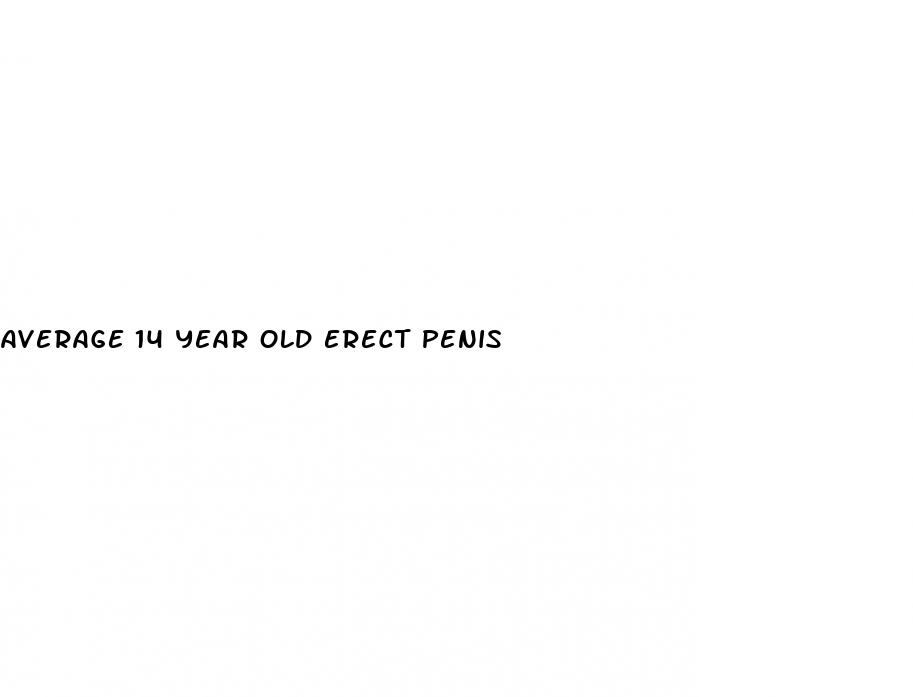 average 14 year old erect penis