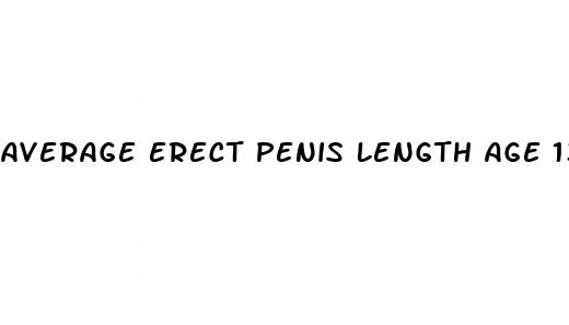 average erect penis length age 13