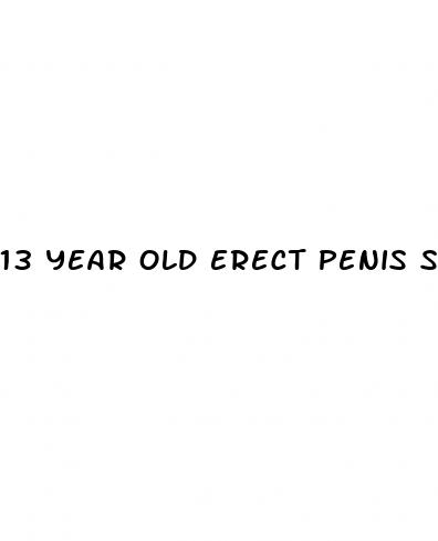 13 year old erect penis size