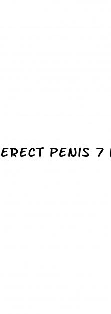 erect penis 7 inch long
