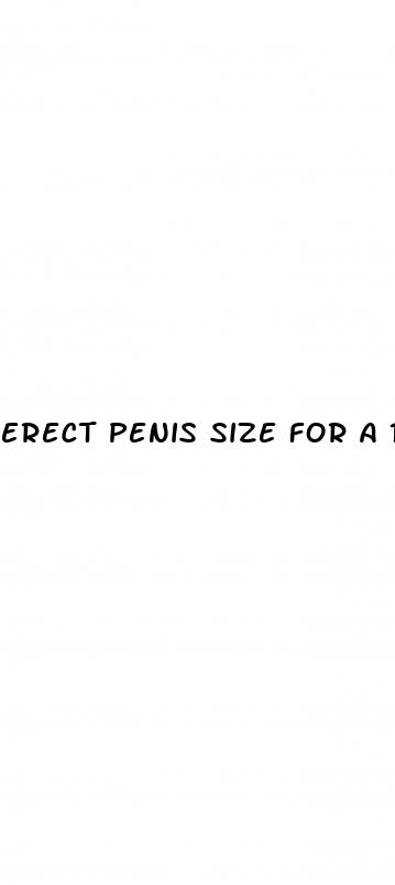erect penis size for a 14 yrd old