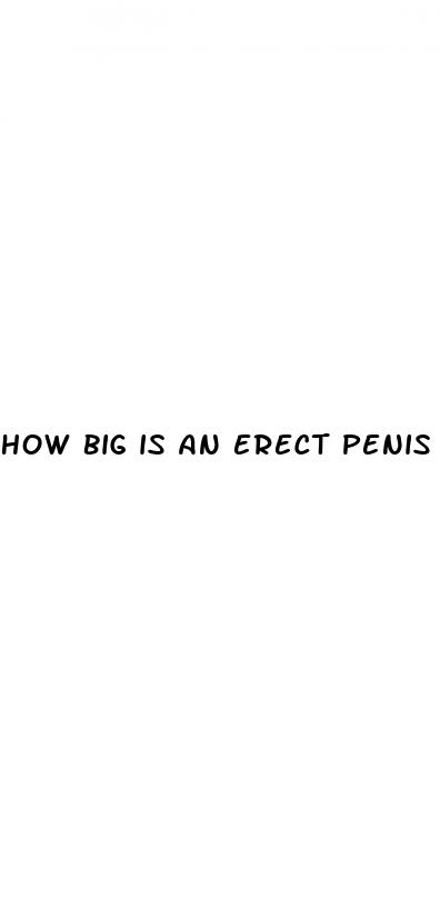 how big is an erect penis