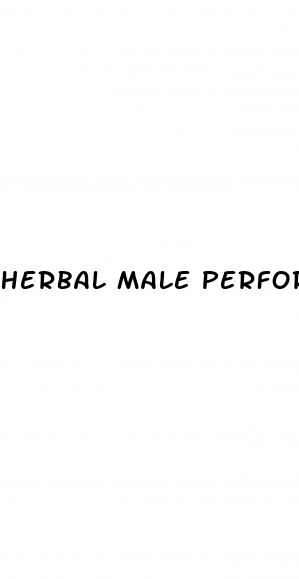 herbal male performance enhancer