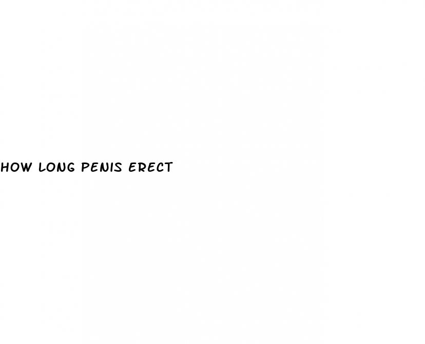 how long penis erect