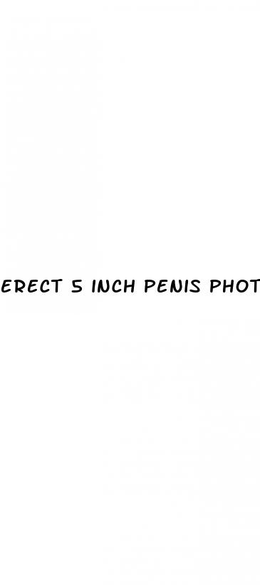 erect 5 inch penis photo