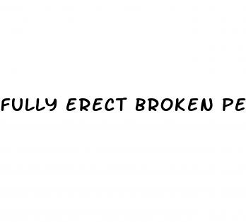 fully erect broken penis