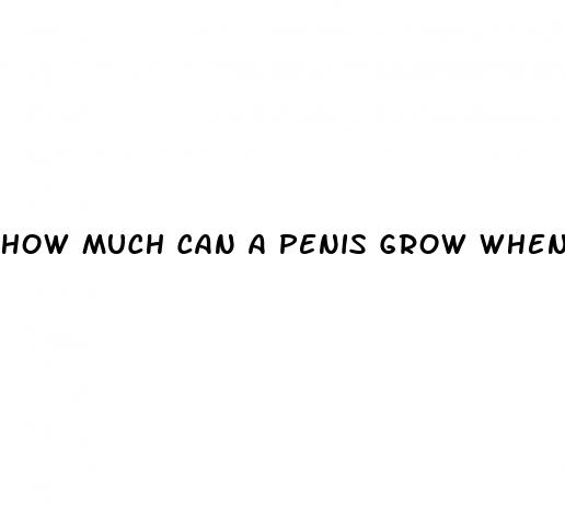 how much can a penis grow when erect