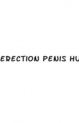 erection penis hurts and itching