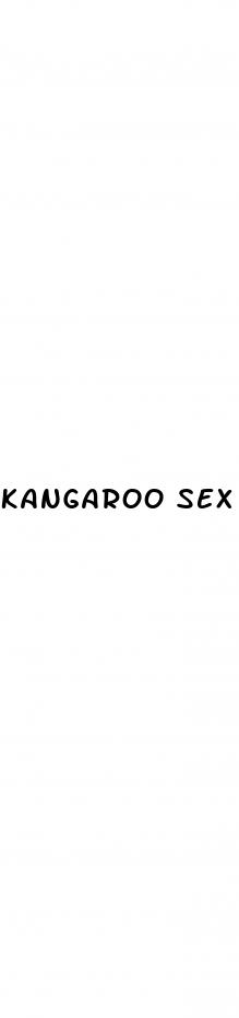 kangaroo sex enhancement pill