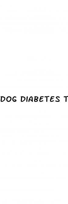 dog diabetes test