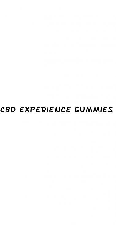 cbd experience gummies