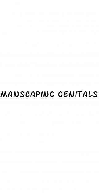 manscaping genitals
