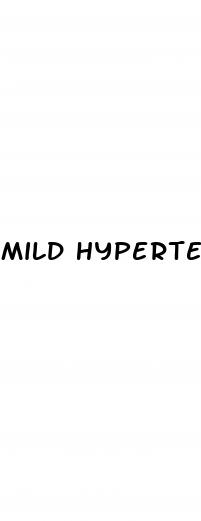 mild hypertension range