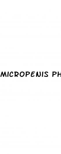 micropenis photos