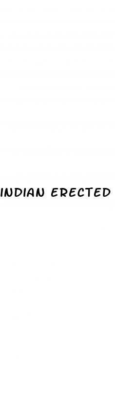 indian erected penis