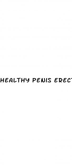 healthy penis erections