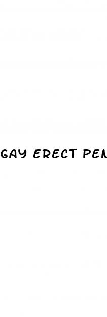 gay erect penis