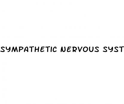 sympathetic nervous system blood pressure