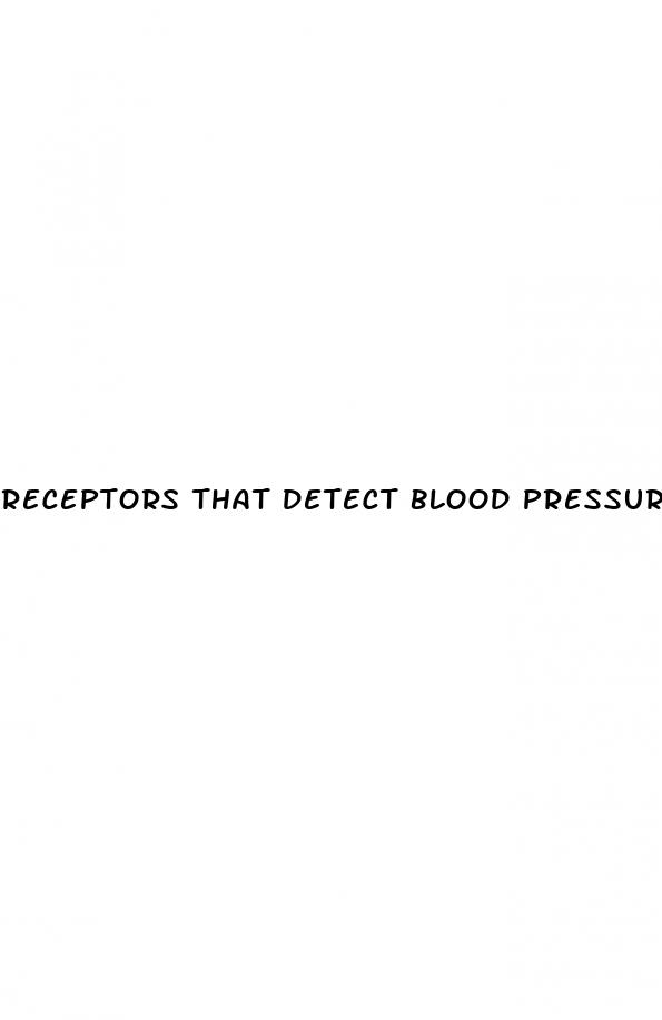 receptors that detect blood pressure are