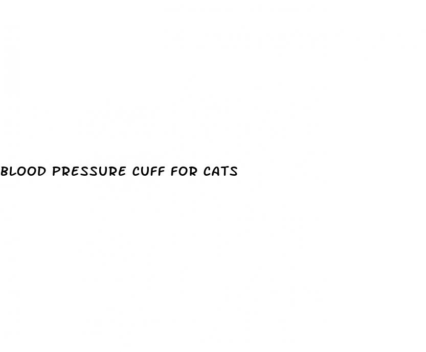 blood pressure cuff for cats