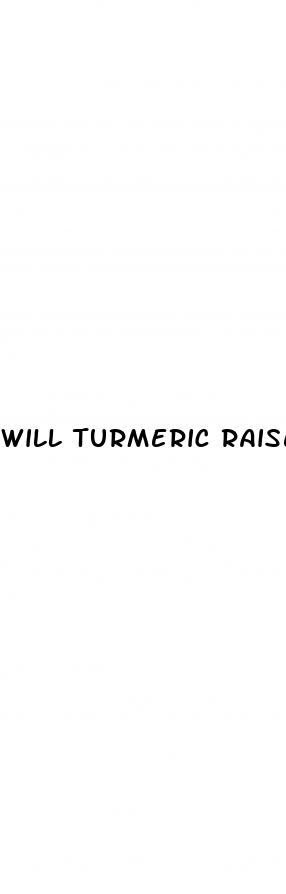 will turmeric raise blood pressure