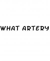 what artery is used for blood pressure