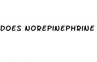 does norepinephrine increase blood pressure