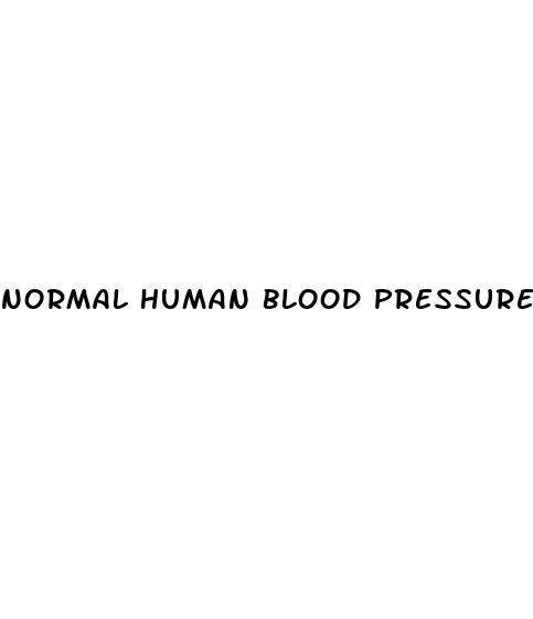 normal human blood pressure