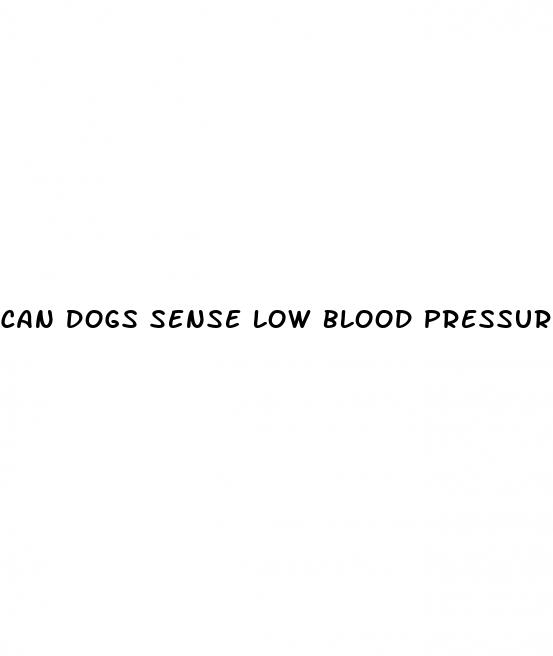 can dogs sense low blood pressure