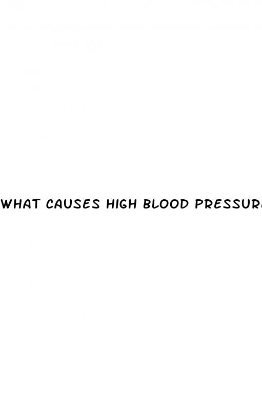 what causes high blood pressure or hypertension