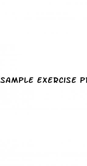 sample exercise program for hypertension