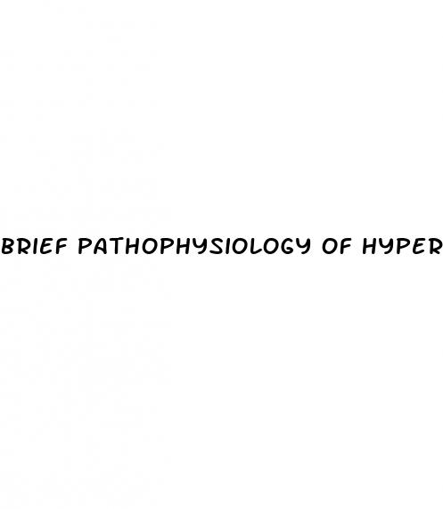 brief pathophysiology of hypertension