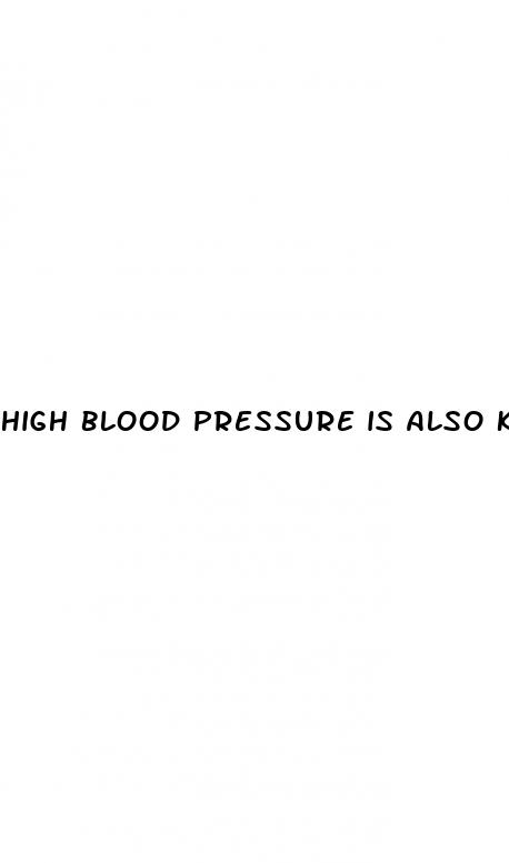 high blood pressure is also known as quizlet