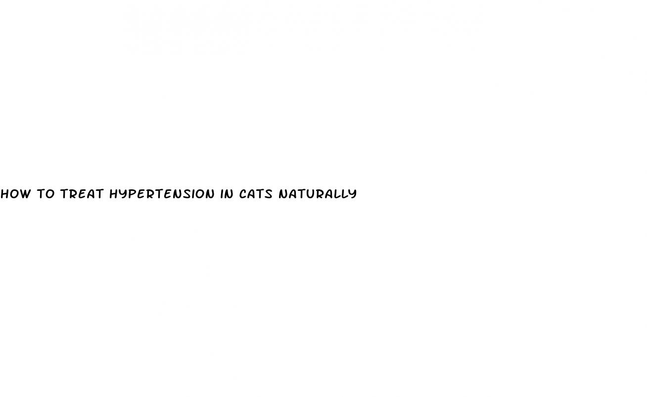 how to treat hypertension in cats naturally