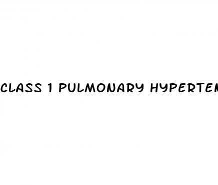 class 1 pulmonary hypertension