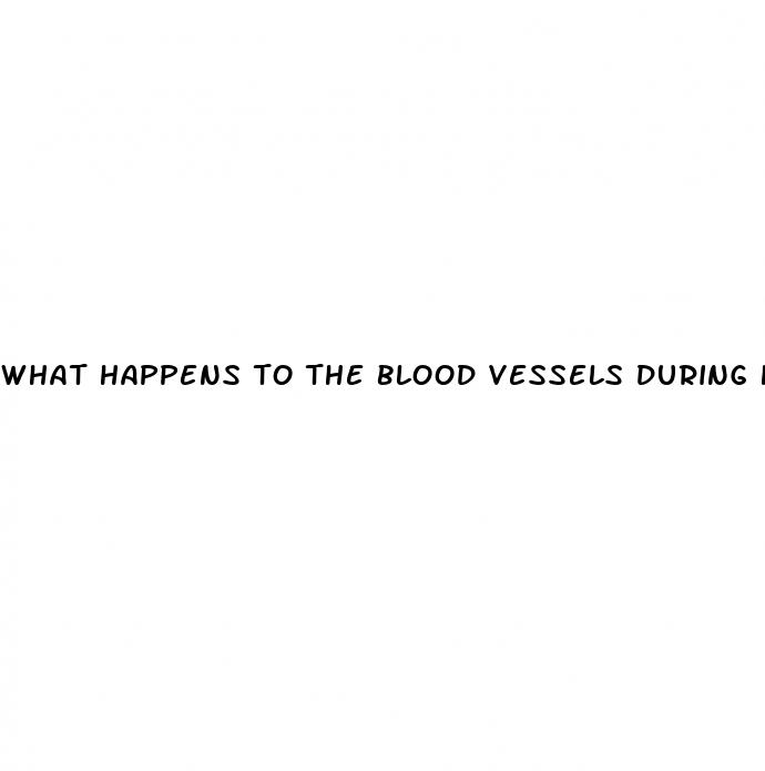 what happens to the blood vessels during hypertension
