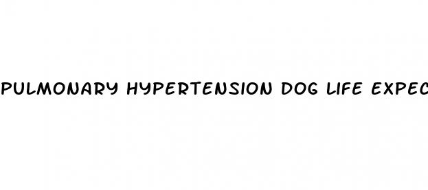 pulmonary hypertension dog life expectancy
