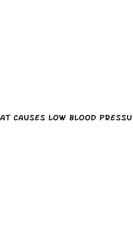 at causes low blood pressure