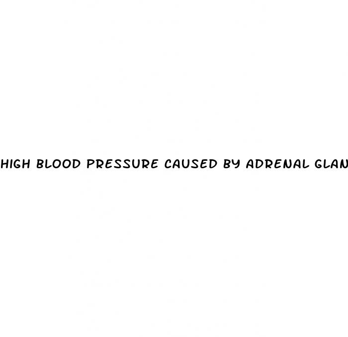 high blood pressure caused by adrenal glands