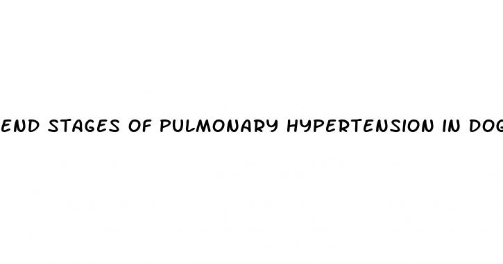end stages of pulmonary hypertension in dogs